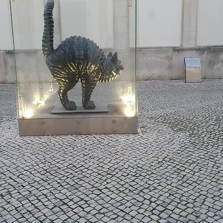 Casa Do Arelho Bed and breakfast 3*