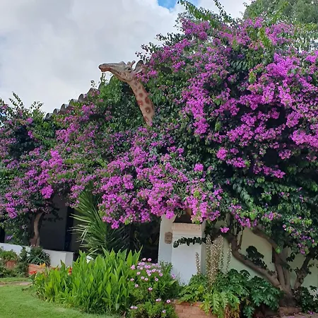 Casa Do Arelho 3* Óbidos